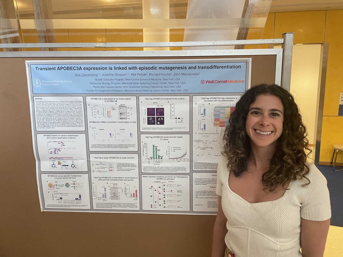 A lab member presents a research poster on APOBEC3A.