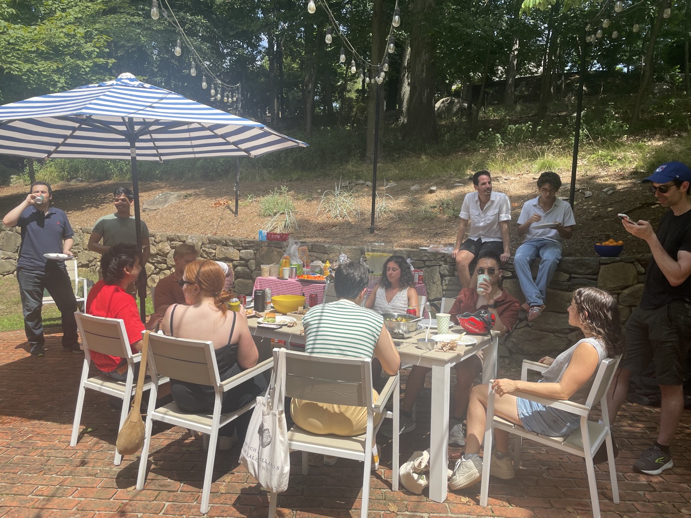 The lab at an outdoor summer barbecue.